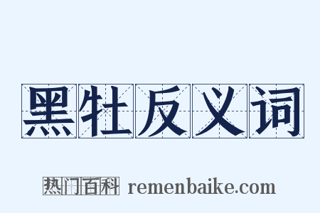 黑牡反义词是什么意思的图片